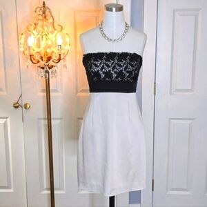 NWT, BCBGMaxAzria Beaded Lace Strapless Dress- Stunning!